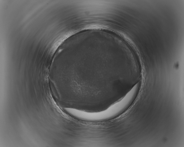 X0000116011329200912101332