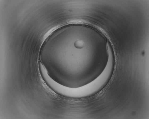 X0000116011330200912101332