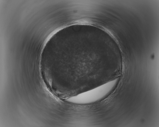 X0000116011331200912101332