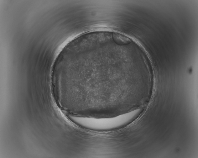 X0000116011333200912101332