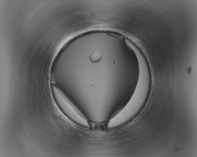 X0000116011334200912101332