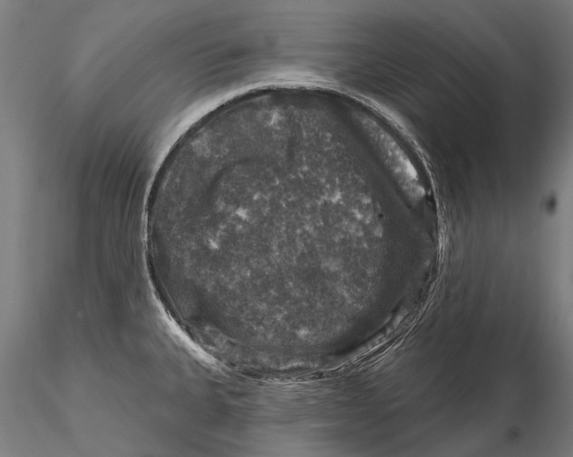 X0000116011335200912101332