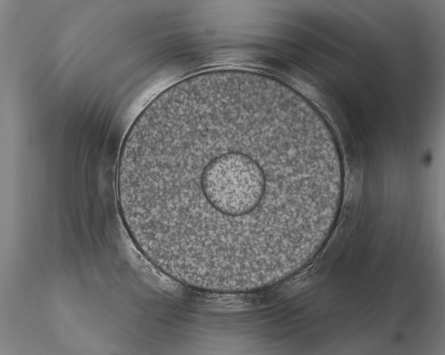 X0000116011338200912101332