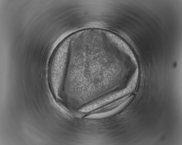 X0000116011339200912101332