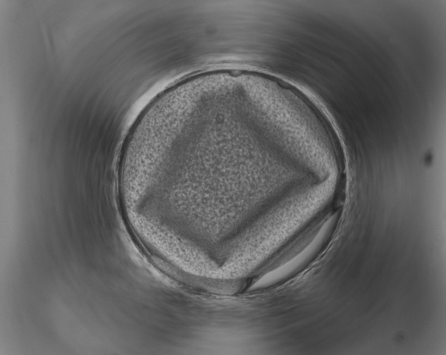 X0000116011341200912101332