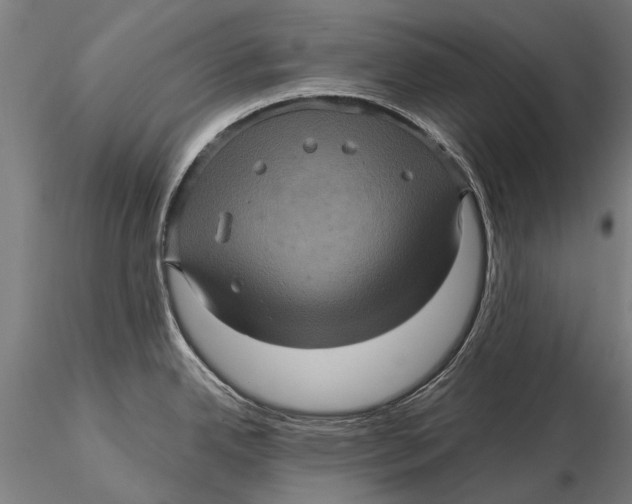 X0000116011342200912101332