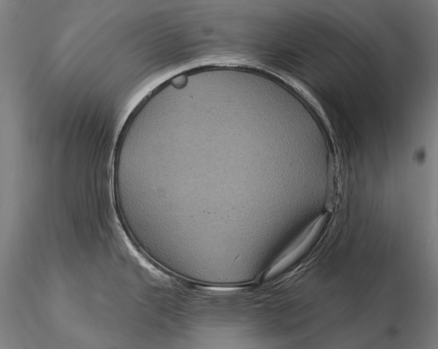 X0000116011343200912101332