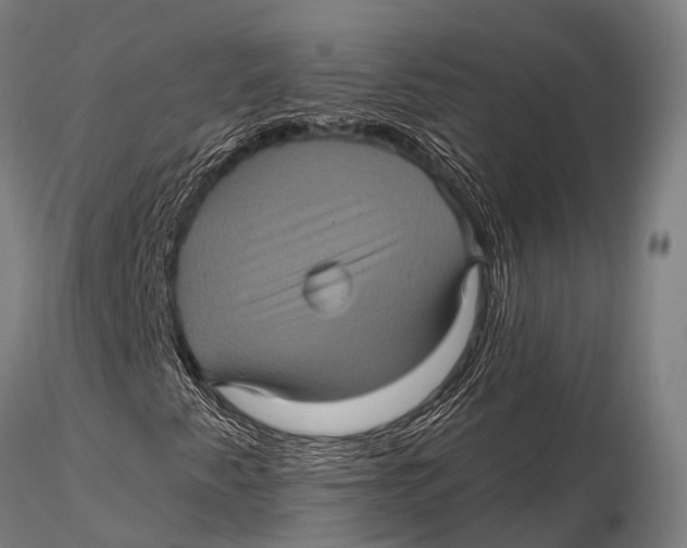 X0000116011345200912101332