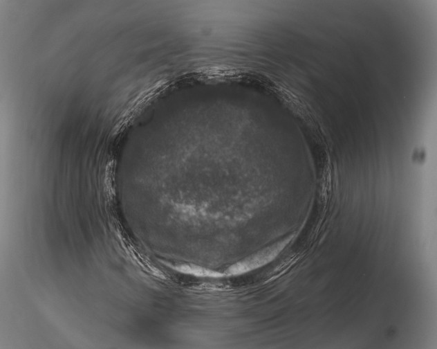 X0000116011346200912101332