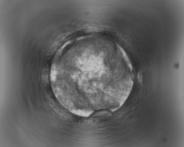 X0000116011348200912101331