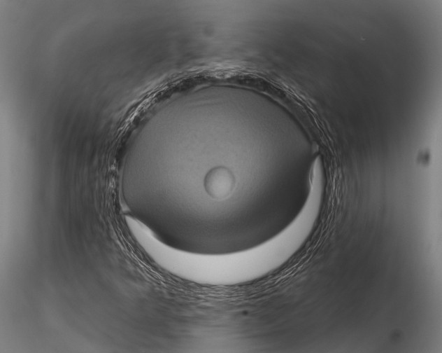 X0000116011349200912101331