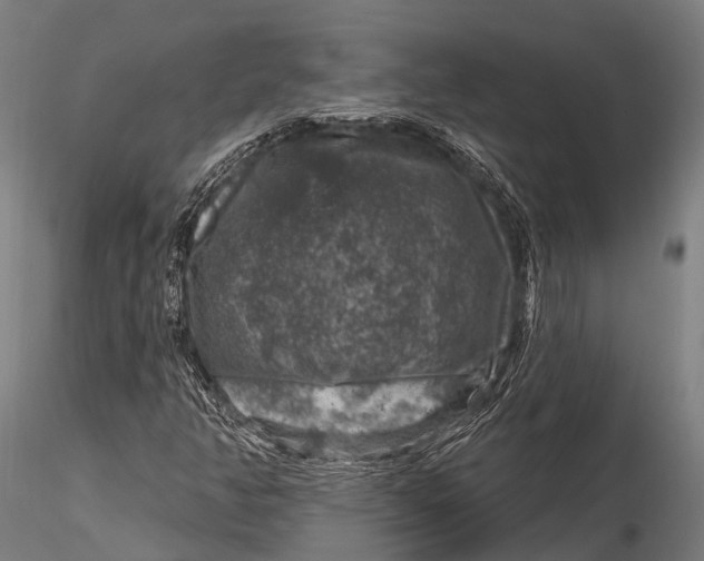 X0000116011350200912101331