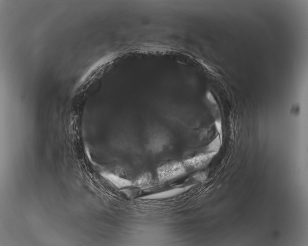 X0000116011351200912101331