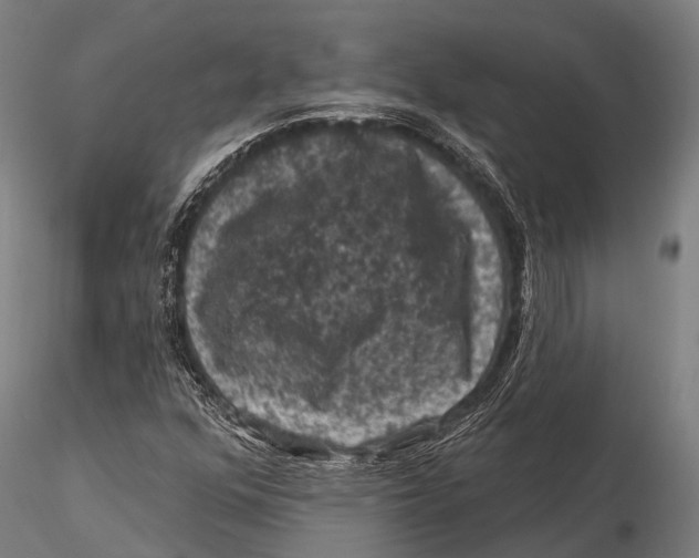 X0000116011352200912101331