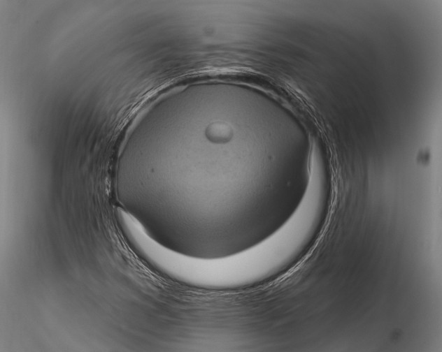 X0000116011353200912101331