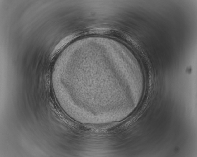 X0000116011354200912101331