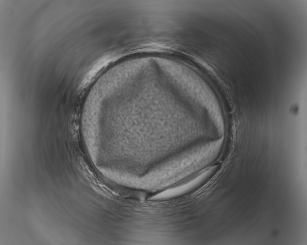 X0000116011355200912101331