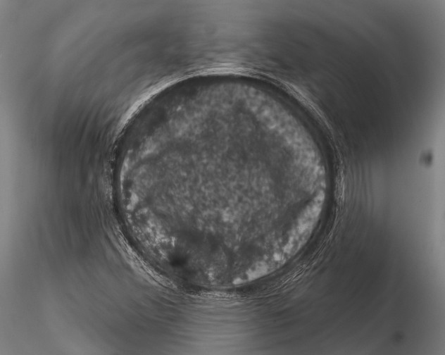 X0000116011356200912101331