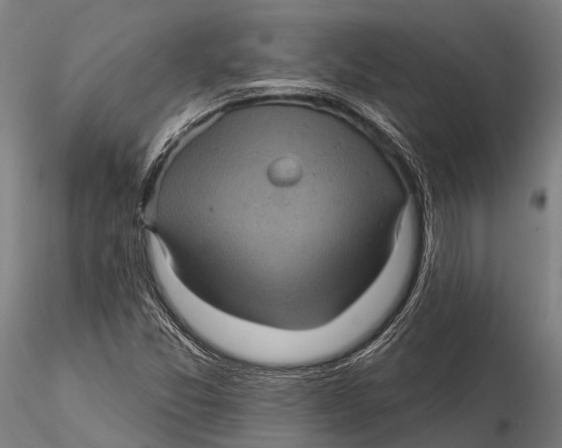 X0000116011357200912101331