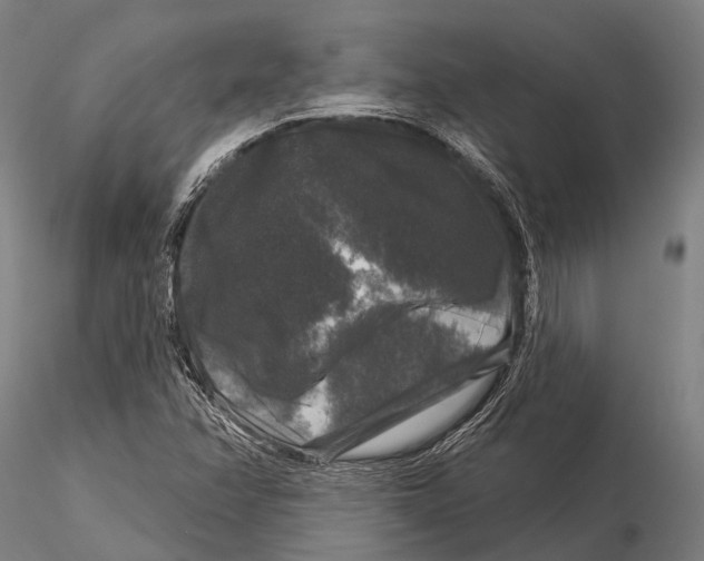 X0000116011358200912101331