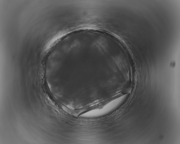 X0000116011359200912101331