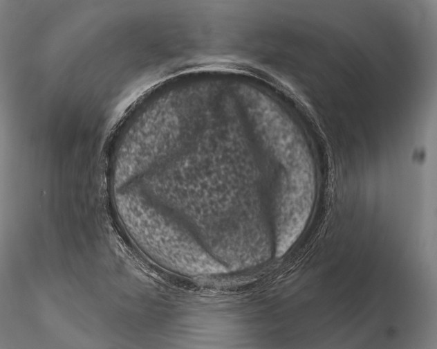 X0000116011360200912101331