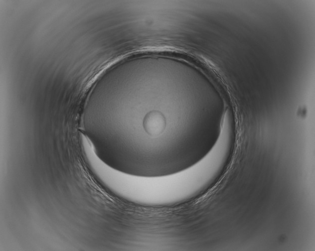 X0000116011361200912101331