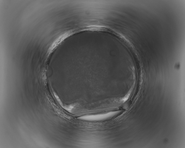 X0000116011362200912101331