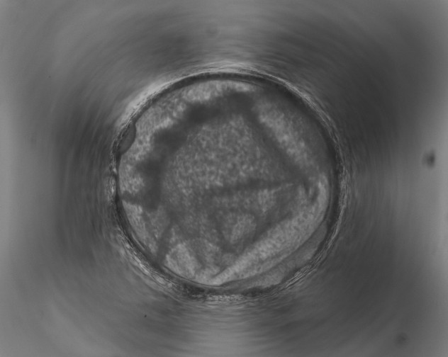 X0000116011363200912101331