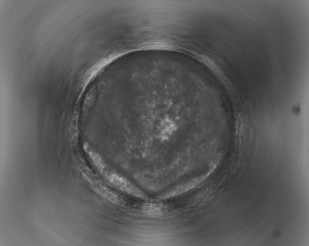 X0000116011364200912101331