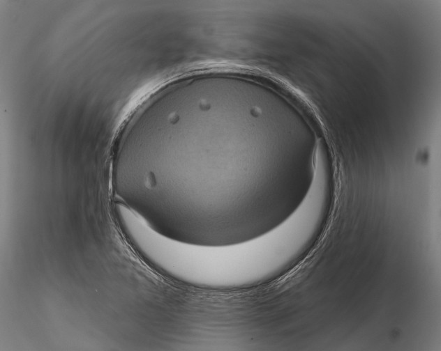 X0000116011365200912101331