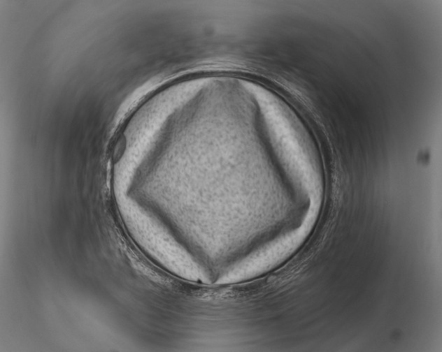 X0000116011366200912101331