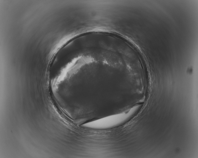 X0000116011367200912101331