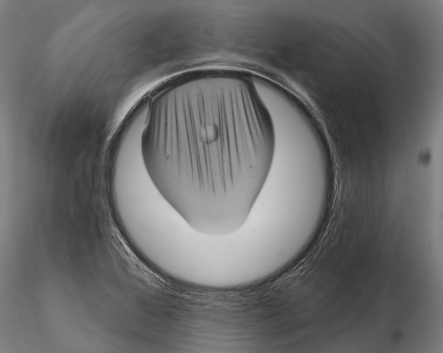 X0000116011368200912101331