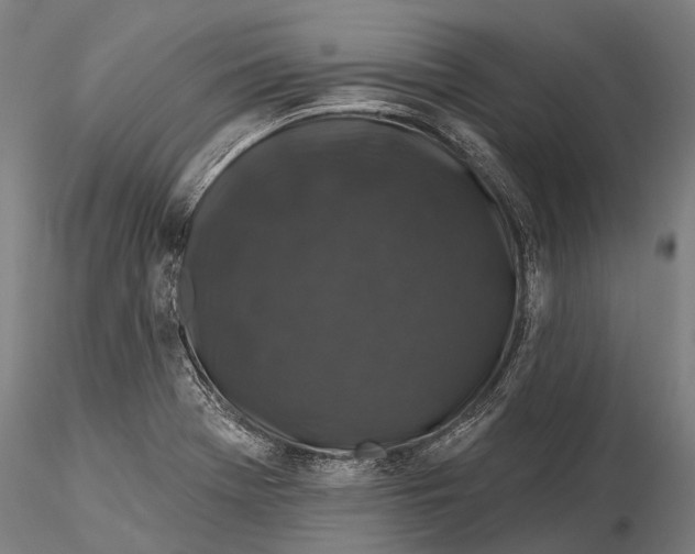 X0000116011369200912101331