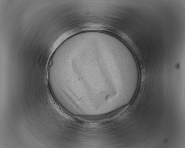 X0000116011370200912101331