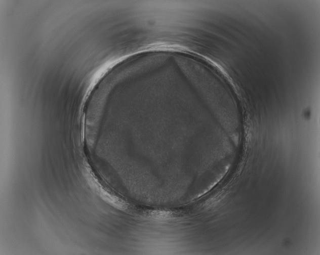 X0000116011371200912101331