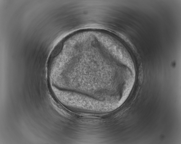 X0000116011372200912101331