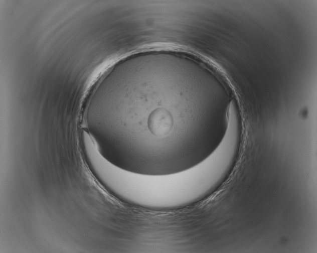 X0000116011373200912101331