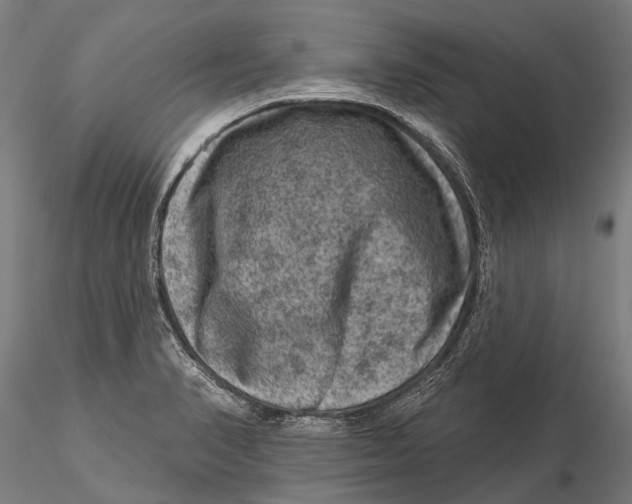 X0000116011374200912101331