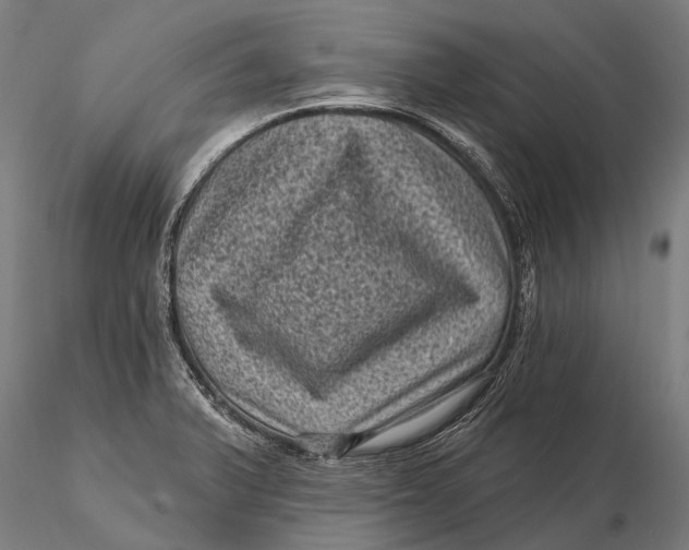 X0000116011375200912101331