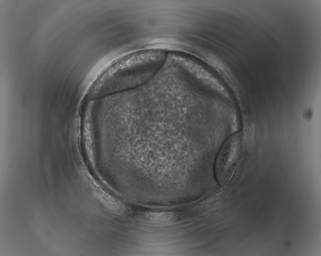 X0000116011376200912101331