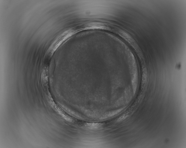 X0000116011377200912101331