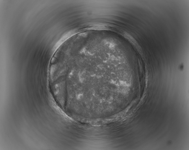 X0000116011378200912101331