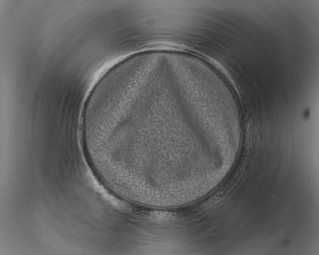 X0000116011379200912101331