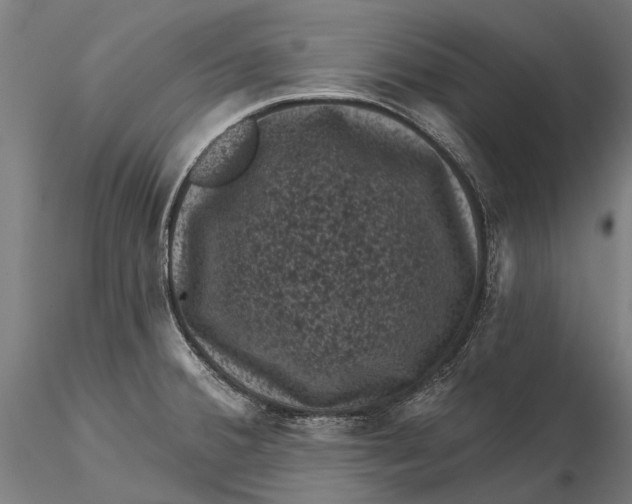 X0000116011380200912101331