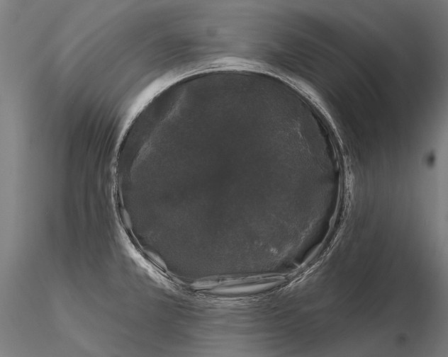 X0000116011381200912101331