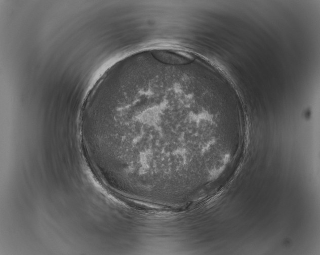 X0000116011382200912101331