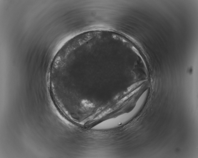 X0000116011383200912101331