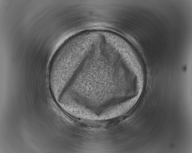 X0000116011384200912101331